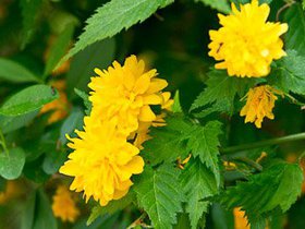 Frühling 354x235-12.jpg